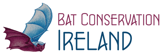 Bat Conservation Ireland’s Online Training Platform