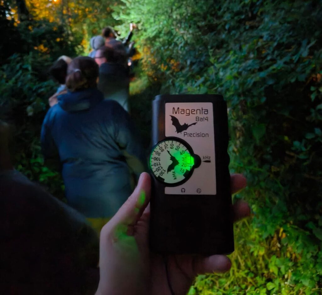 Novice Bat Recorder - Training Course