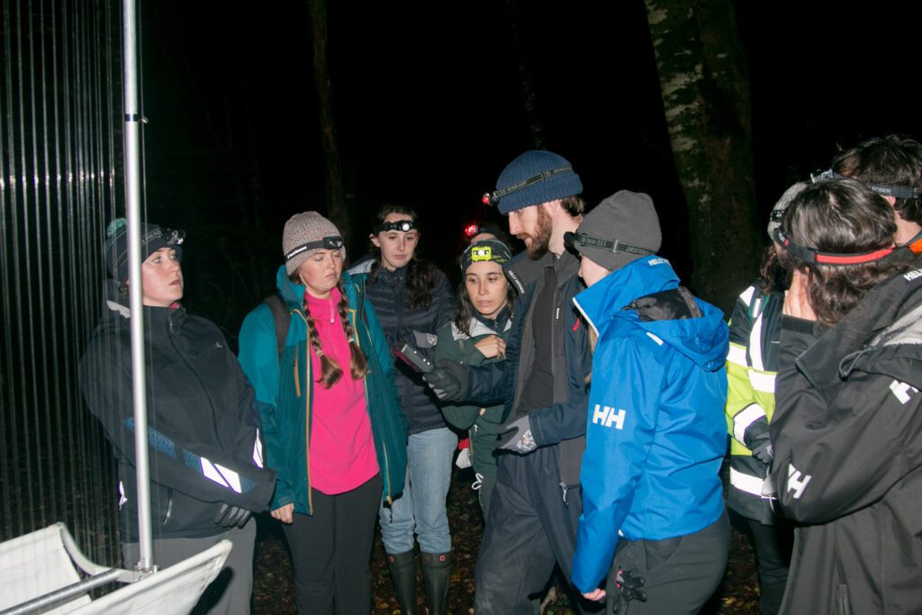Specialist Bat Handling and Trapping Course