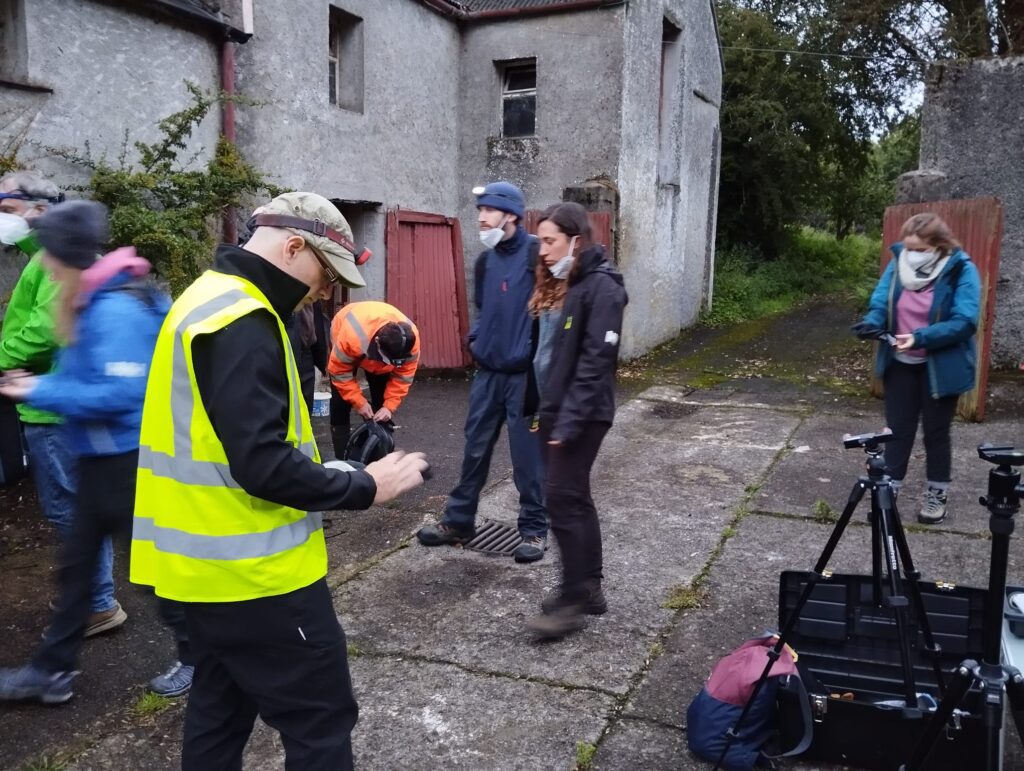 Intermediate Level Bat Surveyor