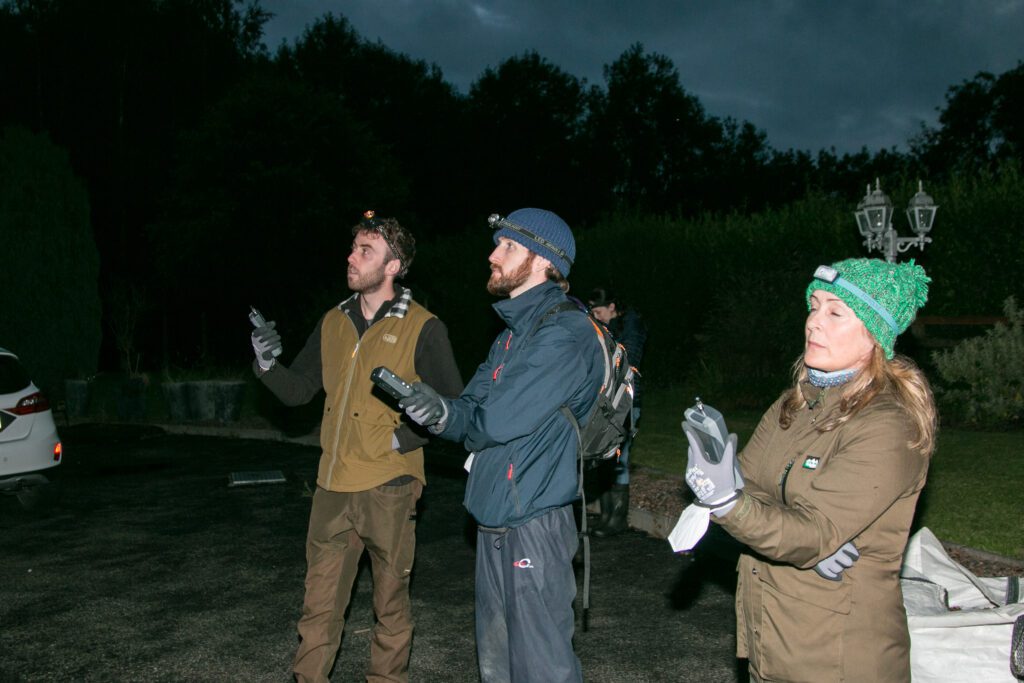 Bat Surveying for Beginners - Part 2 Fieldwork